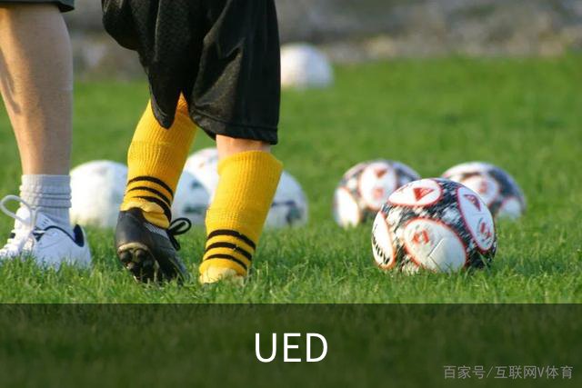 UED公司简介